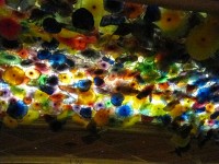 /album/fotogaleria/sel-115-jpg/